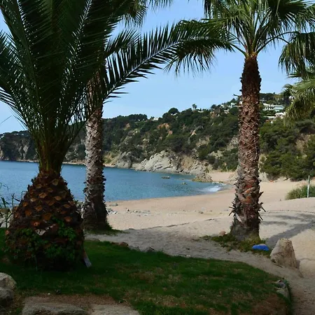 Daire Cala Llevado 2 - Vistas, Piscina Y Cerca Del Mar Tossa de Mar