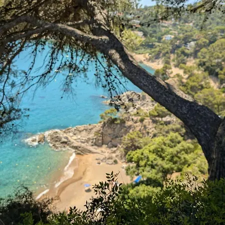 Cala Llevado 2 - Vistas, Piscina Y Cerca Del Mar Apartment