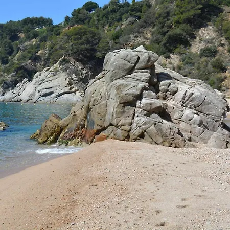Apartamento Apartamento Cala LLevadó 2 Tossa de Mar